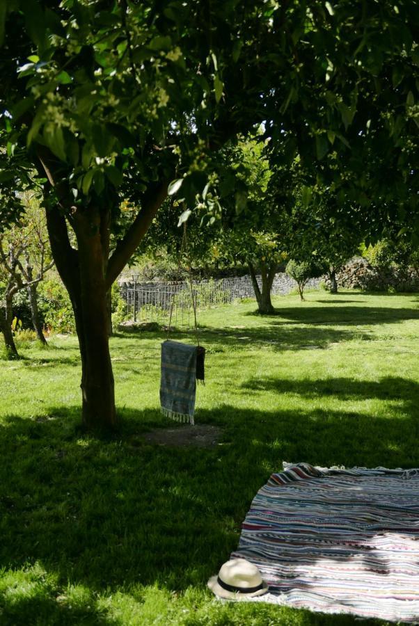 Casa Do Meio Em Quinta De Sao Pedro De Vir-A-Corca Монсанту Экстерьер фото