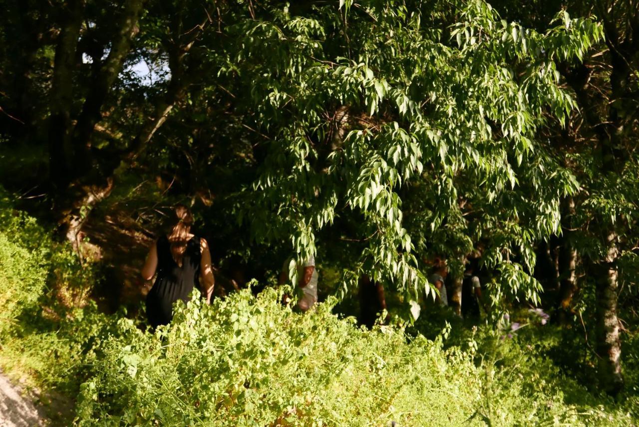Casa Do Meio Em Quinta De Sao Pedro De Vir-A-Corca Монсанту Экстерьер фото