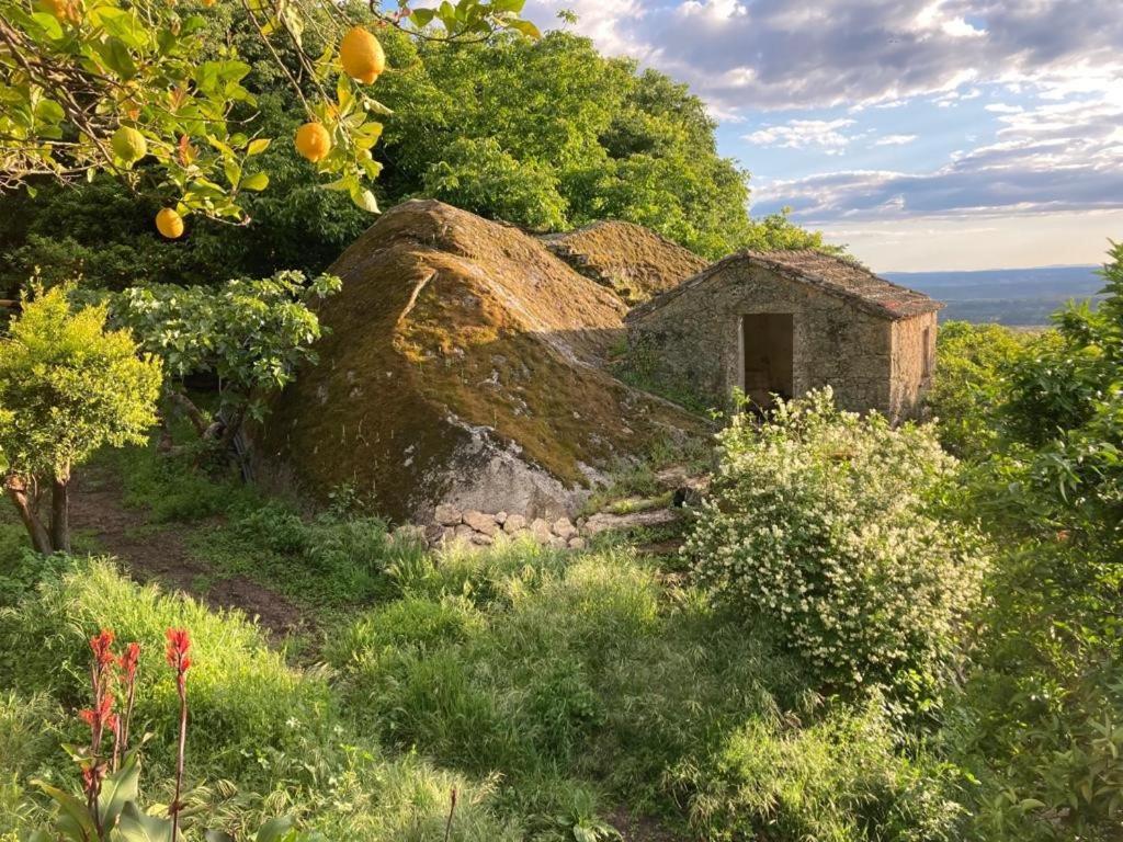 Casa Do Meio Em Quinta De Sao Pedro De Vir-A-Corca Монсанту Экстерьер фото