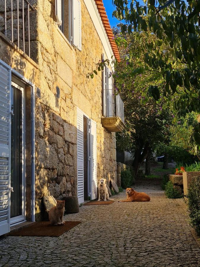 Casa Do Meio Em Quinta De Sao Pedro De Vir-A-Corca Монсанту Экстерьер фото