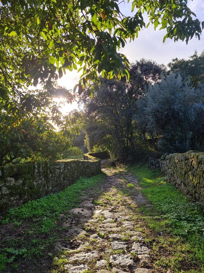 Casa Do Meio Em Quinta De Sao Pedro De Vir-A-Corca Монсанту Экстерьер фото