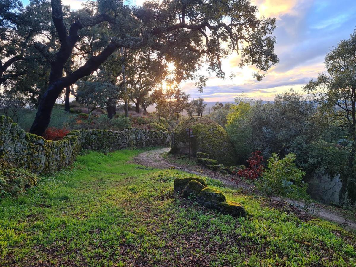 Casa Do Meio Em Quinta De Sao Pedro De Vir-A-Corca Монсанту Экстерьер фото